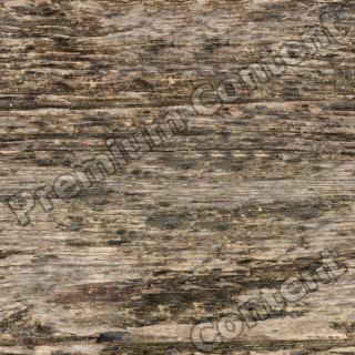 High Resolution Seamless Wood Texture 0005